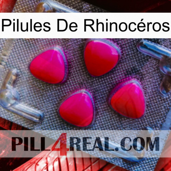 Pilules De Rhinocéros 13